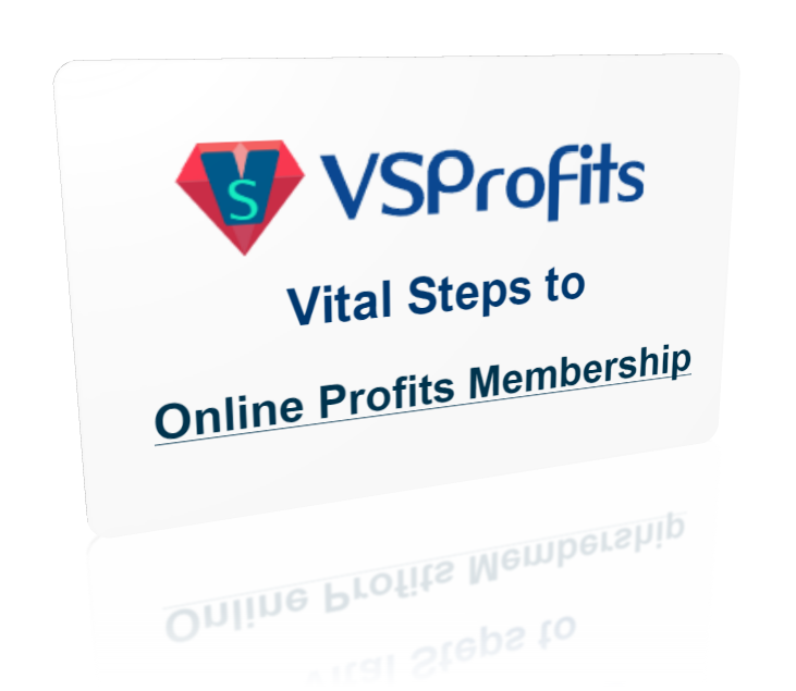 VSProfitsCard1